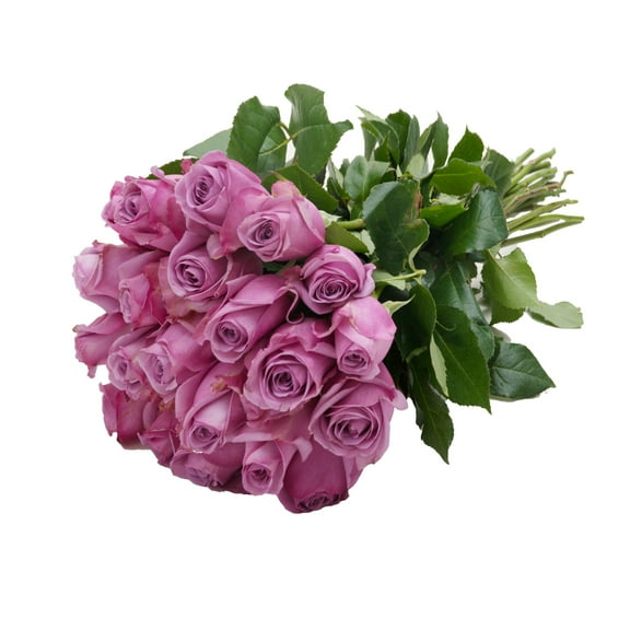 Lavender Roses Gift - Farm Direct Fresh Cut Flowers - 24 Stems - by Bloomingmore