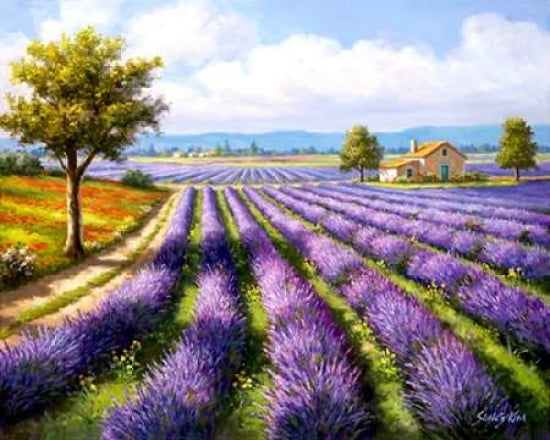 Lavender Rows Canvas Art - Sung Kim (24 x 30)