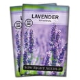 thumbnail image 1 of Lavender Seeds for Planting - Non GMO Heirloom Varieties for your Indoor or Outdoor Herb Garden - 2 Pack, 1 of 5