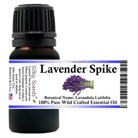 Lavender Spike Essential Oil 100% Pure and Natural 10 ml (1/3 oz)