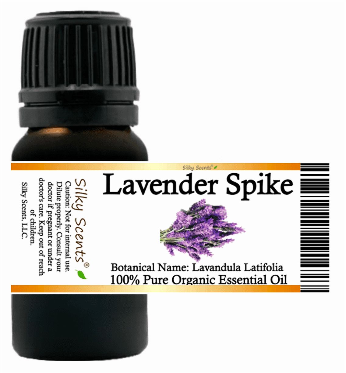 Lavender Spike Organic Essential Oil 1 fl oz (30 ml) - 100% Pure and Natural by Silky Scents