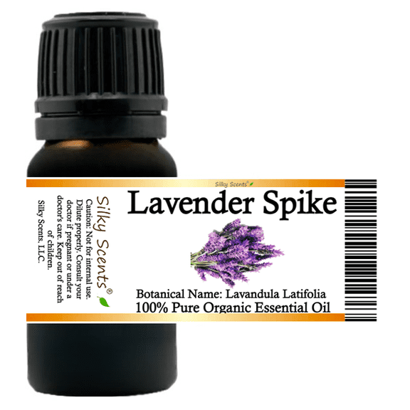 Lavender Spike Organic Essential Oil 5 ml (1/6 fl oz) - 100% Pure and Natural by Silky Scents