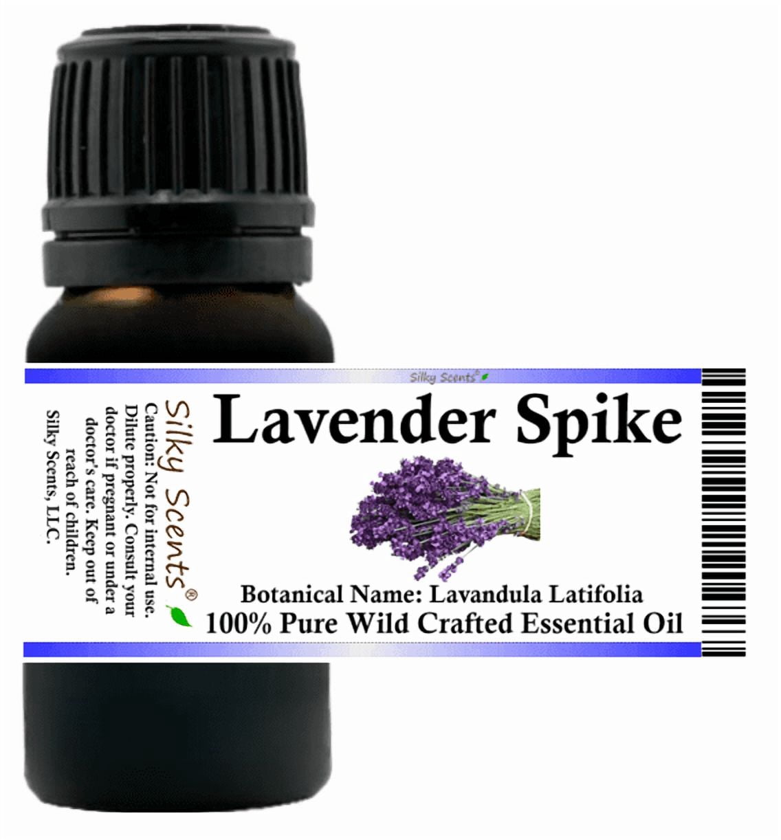 Lavender Spike Essential Oil 15 ml (1/2 fl oz) - 100% Pure and Natural by Silky Scents