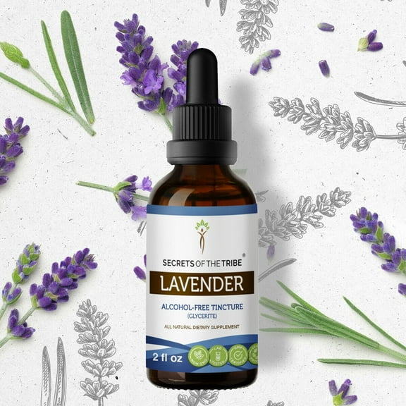 Secrets Of The Tribe Lavender Tincture Dietary Supplement, Natural Herbal Extract for Stress Support, Lavender (Lavandula angustifolia) Dried Flowers, Alcohol-Free Extract, Drops 2 oz