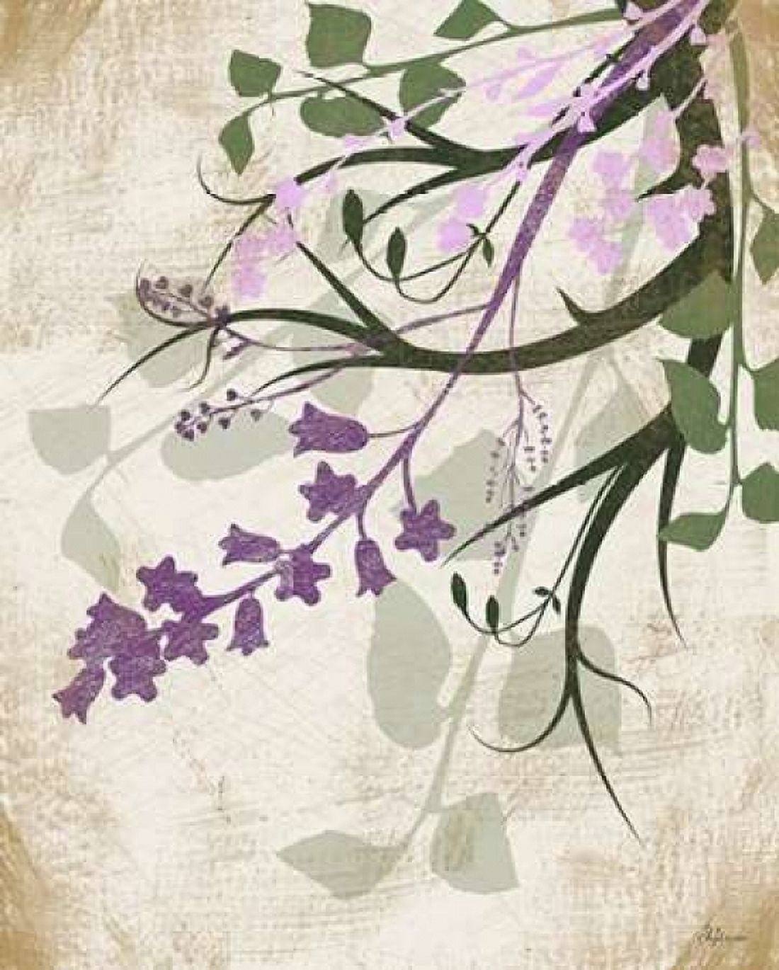 Lavender and Sage II Canvas Art - Jennifer Pugh (24 x 30)