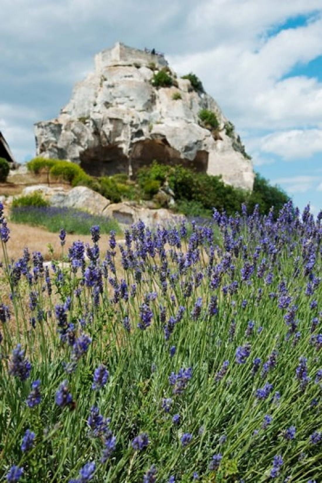 Lavender field in front of ruins of fortress on a rock Les Baux-de-Provence Provence-Alpes-Cote dAzur France Canvas Art - Panoramic Images (24 x 36)