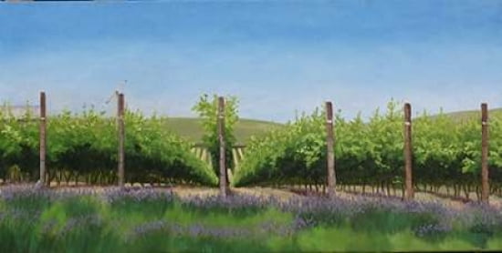 Lavender in the Vineyard Canvas Art - Julie Peterson (10 x 20)