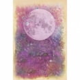 thumbnail image 1 of Lavinia Stamps Scenescapes Summer Night, 1 of 1