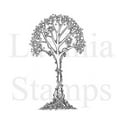 thumbnail image 1 of Lavinia Stamps - Zen Tree, 1 of 1