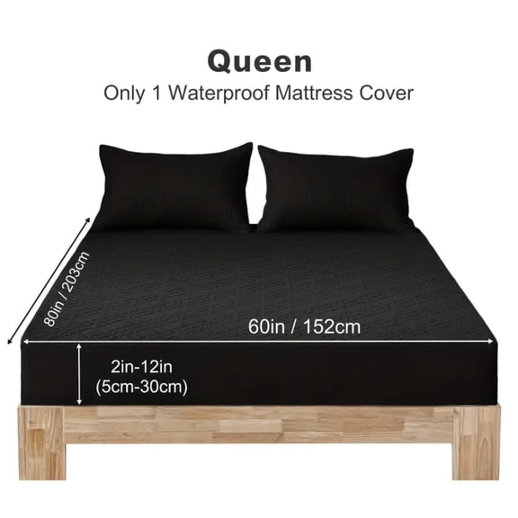 Lavish Cover Ultra Soft Waterproof Fitted Sheet, Washable Mattress Cover for Home, Hotel(Queen, Black)