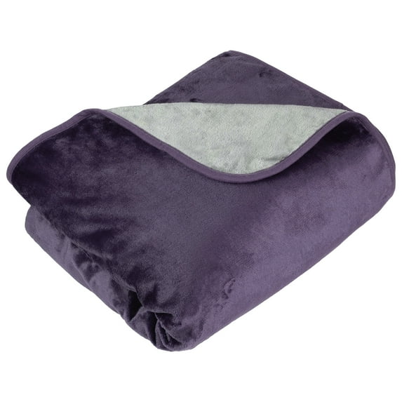 Lavish Home 80x80 Waterproof Blanket for Kids, Pets, and Outdoors (Purple)