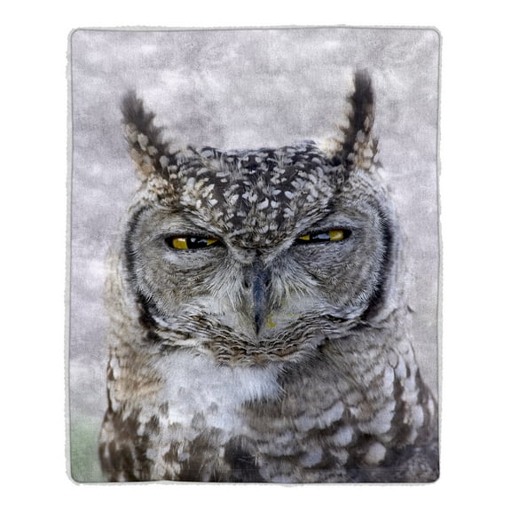 Lavish Home Sherpa Fleece Throw Blanket- Owl Print Pattern