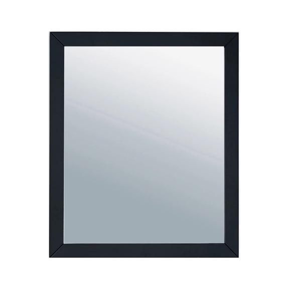 Laviva 313FF-2430E 0.79 x 30 x 24.02 in. Sterling Framed Rectangular Espresso Mirror