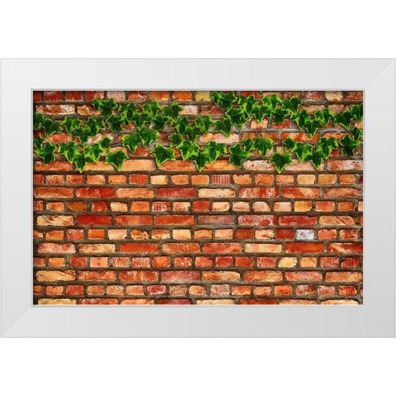 Lavoie, Tina 14x10 White Modern Wood Framed Museum Art Print Titled - Brick Wall and Ivy