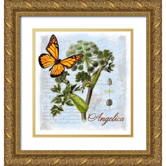 Lavoie, Tina 15x16 Gold Ornate Wood Framed with Double Matting Museum Art Print Titled - Angelica Herb