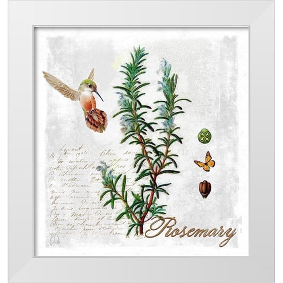 Lavoie, Tina 15x16 White Modern Wood Framed Museum Art Print Titled - Botanical Garden Rosemary Herb