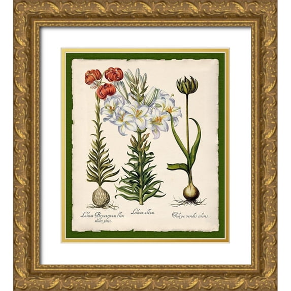 Lavoie, Tina 15x17 Gold Ornate Wood Framed with Double Matting Museum Art Print Titled - Botanica Nostalgia III