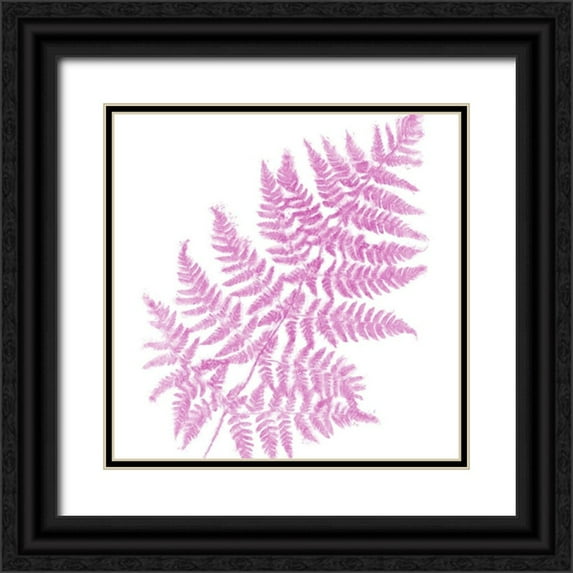 Lavoie, Tina 20x20 Black Ornate Wood Framed with Double Matting Museum Art Print Titled - Fresh III