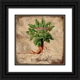 thumbnail image 1 of Lavoie, Tina 20x20 Black Ornate Wood Framed with Double Matting Museum Art Print Titled - Mandrake, 1 of 4