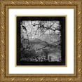 thumbnail image 1 of Lavoie, Tina 20x20 Gold Ornate Wood Framed with Double Matting Museum Art Print Titled - Silver Vintage Topographic and Road Map, 1 of 4