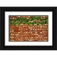 thumbnail image 1 of Lavoie, Tina 24x17 Black Ornate Wood Framed with Double Matting Museum Art Print Titled - Brick Wall and Ivy, 1 of 4
