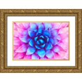 thumbnail image 1 of Lavoie, Tina 24x17 Gold Ornate Wood Framed with Double Matting Museum Art Print Titled - Agave Sunset, 1 of 4