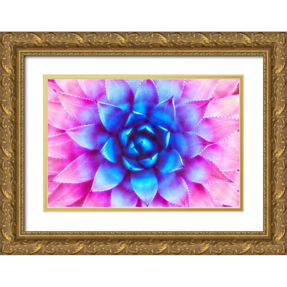 Lavoie, Tina 24x17 Gold Ornate Wood Framed with Double Matting Museum Art Print Titled - Agave Sunset