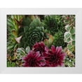 thumbnail image 1 of Lavoie, Tina 24x19 White Modern Wood Framed Museum Art Print Titled - Succulent Garden, 1 of 4