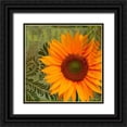 thumbnail image 1 of Lavoie, Tina 26x26 Black Ornate Wood Framed with Double Matting Museum Art Print Titled - Summer Sun II, 1 of 4