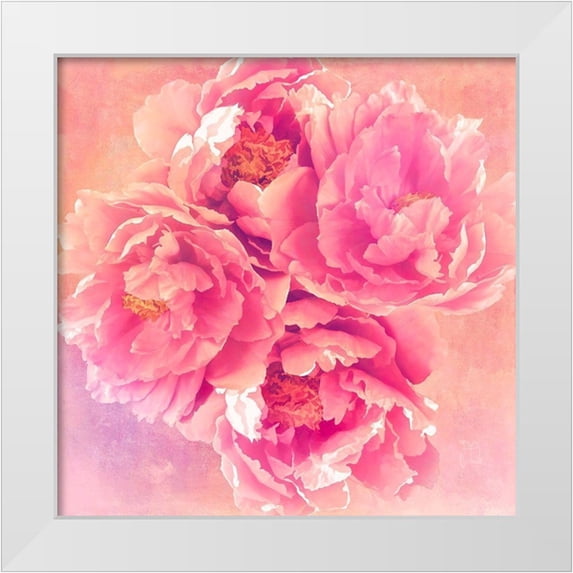 Lavoie, Tina 26x26 White Modern Wood Framed Museum Art Print Titled - Peony Garden