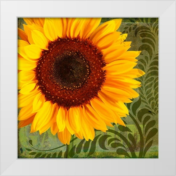 Lavoie, Tina 26x26 White Modern Wood Framed Museum Art Print Titled - Summer Sun I