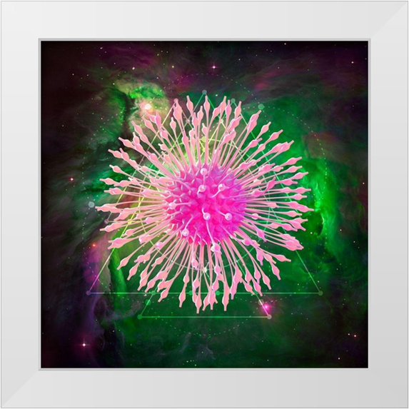 Lavoie, Tina 26x26 White Modern Wood Framed Museum Art Print Titled - Untitled 33