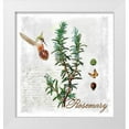 thumbnail image 1 of Lavoie, Tina 26x28 White Modern Wood Framed Museum Art Print Titled - Botanical Garden Rosemary Herb, 1 of 4