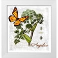 thumbnail image 1 of Lavoie, Tina 26x28 White Modern Wood Framed Museum Art Print Titled - Botanical Gardern Angelica Herb, 1 of 4