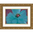 thumbnail image 1 of Lavoie, Tina 32x23 Gold Ornate Wood Framed with Double Matting Museum Art Print Titled - Color Theory II, 1 of 4