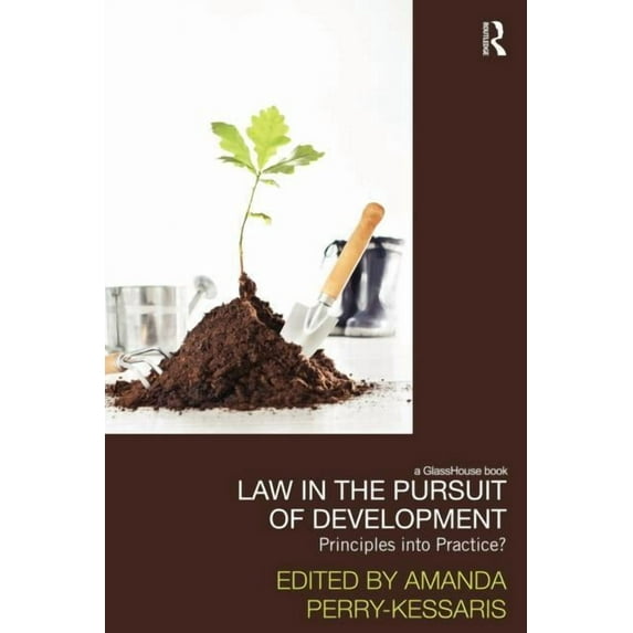Law, Development and Globalization Law in the Pursuit of Development: Principles into Practice?, (Paperback)