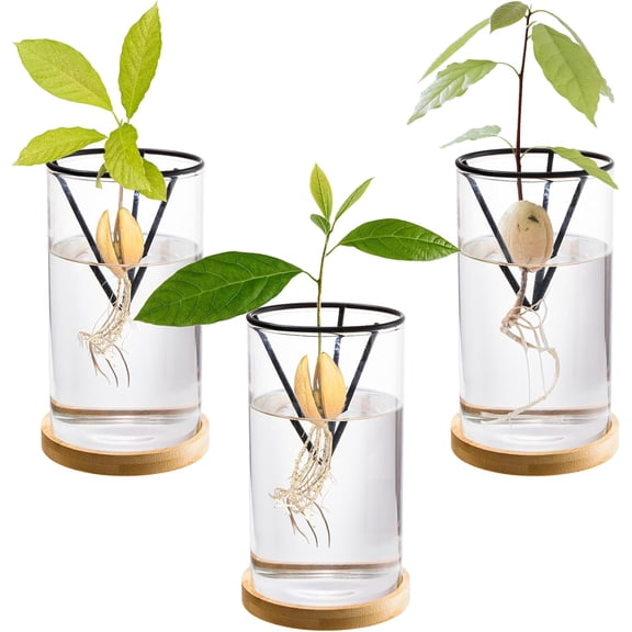 3 Pack Avocado Tree Growing Kits, Glass Seed Starter Vase with Metal Triangle Bracket and Bamboo Base, Pit Sprouting Plant Pot Bottle for Gardening Lovers Home Decor
