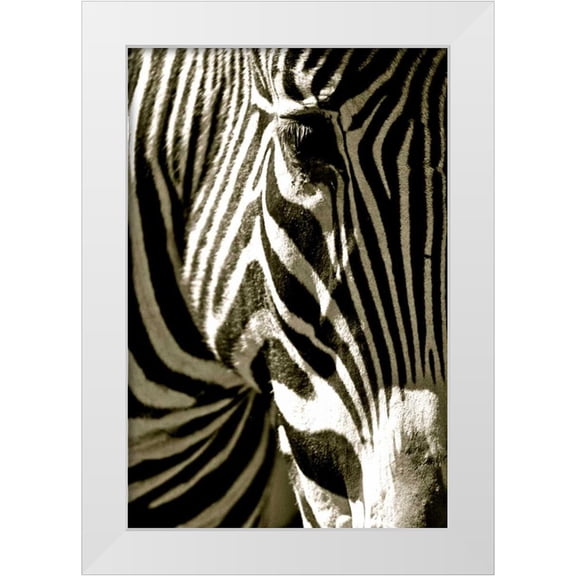 Lawhorn, Courtney 11x14 White Modern Wood Framed Museum Art Print Titled - Zebra Head