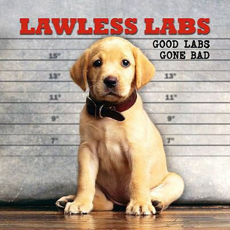 Pre-Owned Lawless Labs: Good Labs Gone Bad (Hardcover) 1595438424 9781595438423