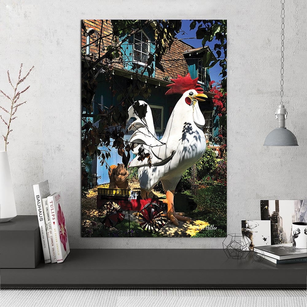 LAWN CHICKEN by photographer Steven A. Heller - 14"x14" Canvas Artwork - Multi-Color 16 x 20