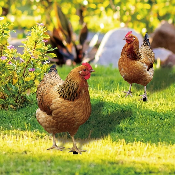Lawn Decorations Outdoor, Yard Decorations, Chicken Ornament, Metal Yard Art OutdoorandGarden, 15X22 In, Warm Brown, 1 Pc