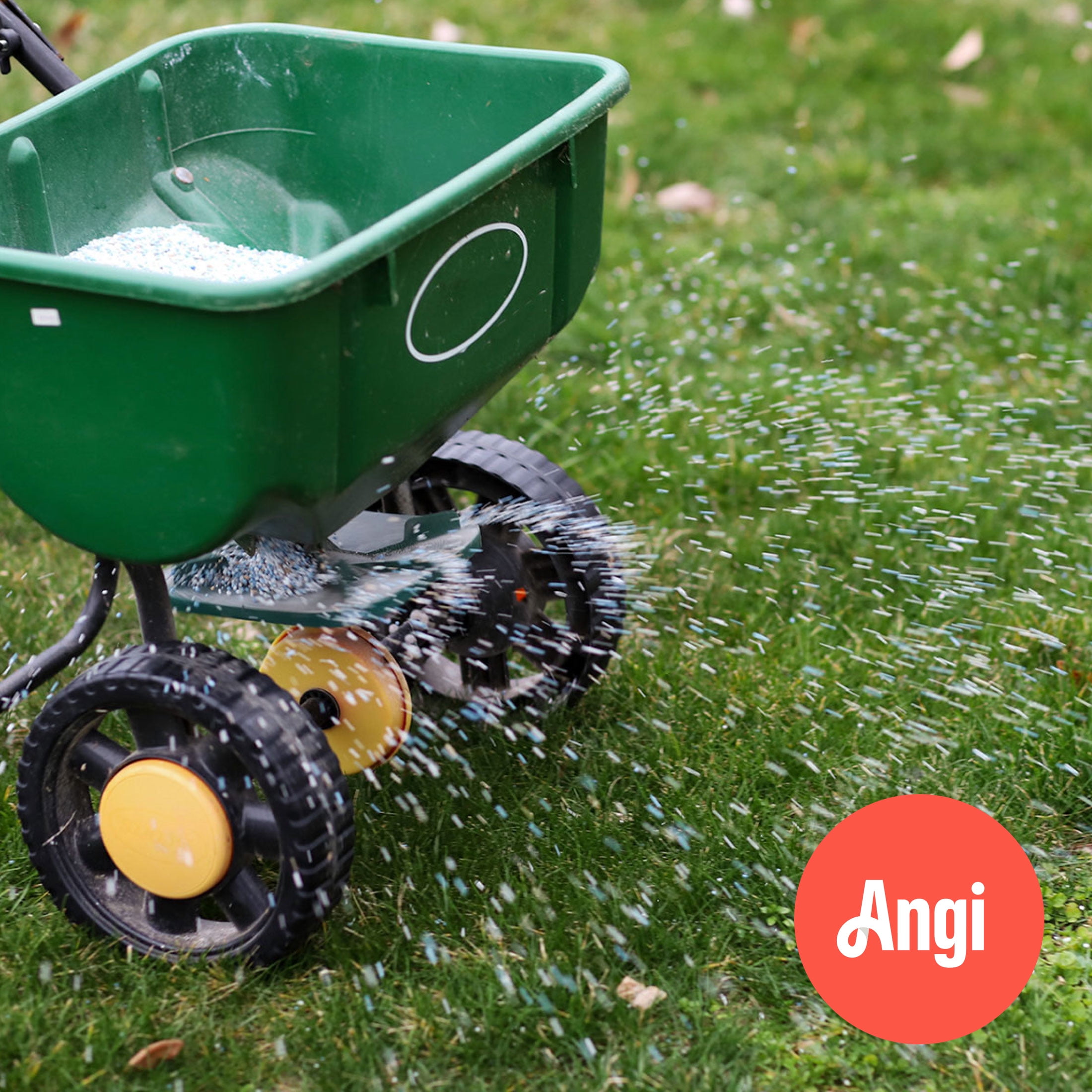 Lawn Seed Planting (1 Hr)