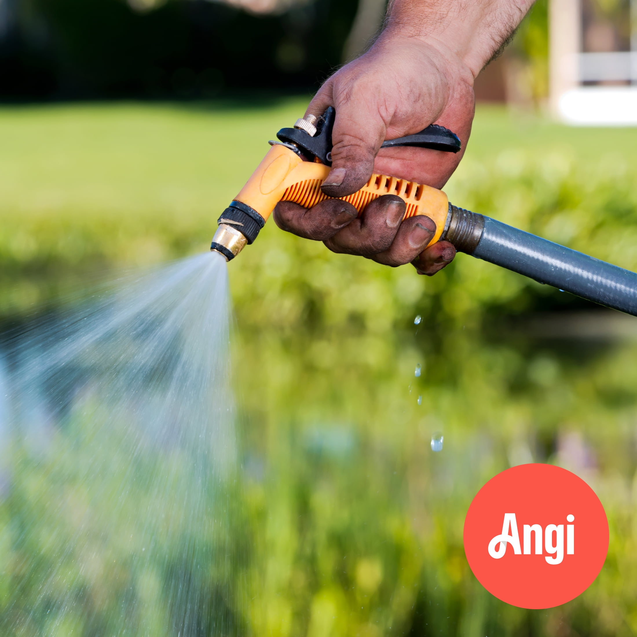 Lawn and Plant Watering (1 Hour)