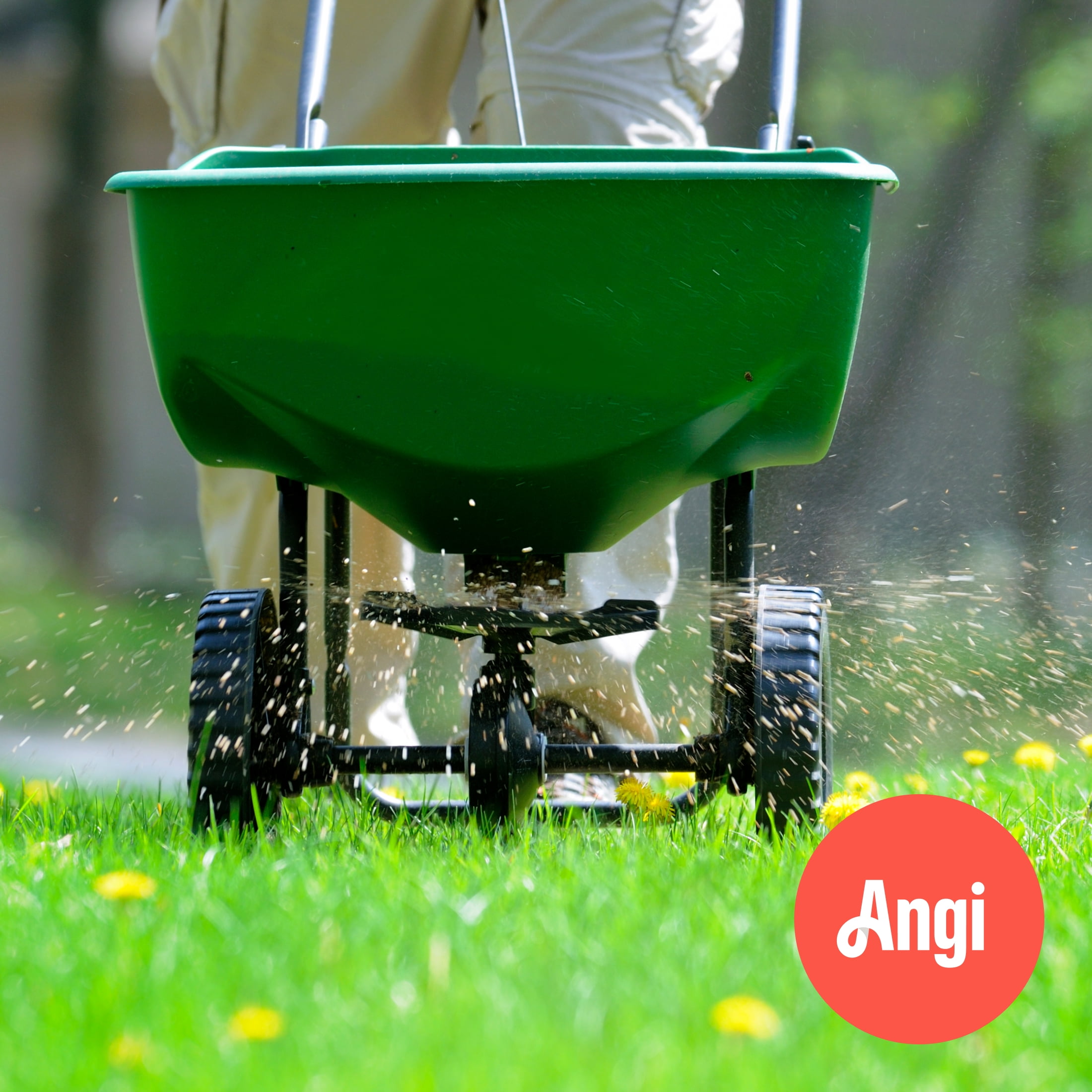 Lawncare Service - Fertilizer (3 Hours)