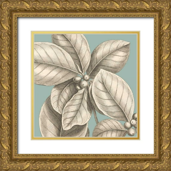 Lawrence, David 15x15 Gold Ornate Wood Framed with Double Matting Museum Art Print Titled - Tropical Varieties II