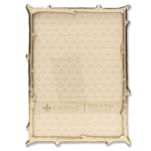 Lawrence Frames Metal Picture Frame, Gold