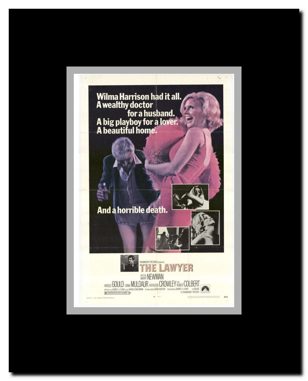 Lawyer Framed Movie Poster