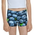 Easygdp Fresh Blueberries Girls Hipster Cotton Underwear Little Girls