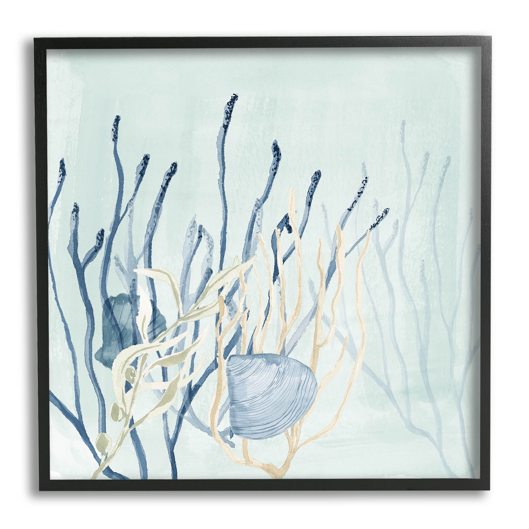 Layered Seashells Coral Underwater Animals & Insects Graphic Art Black Framed Art Print Wall Art