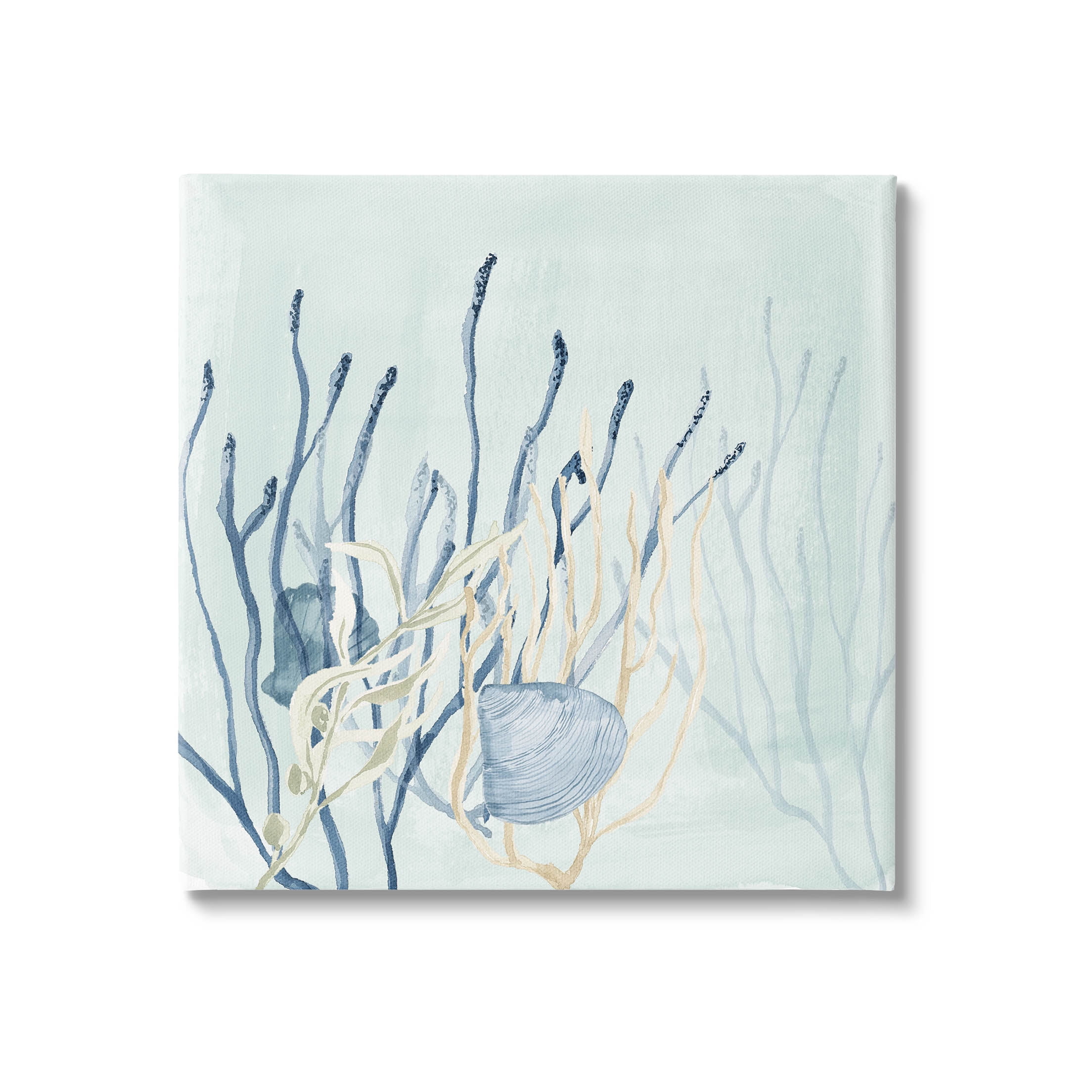 Layered Seashells Coral Underwater Animals & Insects Graphic Art Gallery Wrapped Canvas Print Wall Art